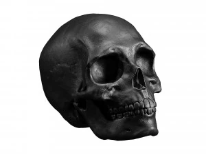 Human Skull Figurine 3D Model