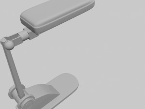 Lamb 3D Model
