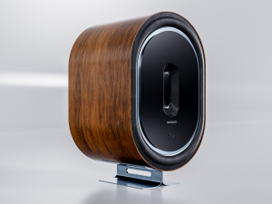 Speaker Wood bass boost 3D Model