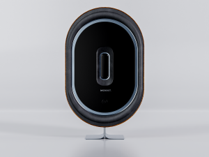 Speaker Wood bass boost Modelo 3D
