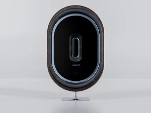 Speaker Wood bass boost 3D Model