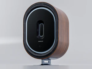 Speaker Wood bass boost 3D Model