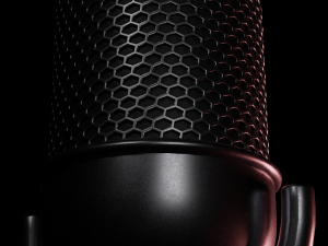Mic 3D Model