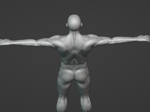 Hombre Musculoso Modèle 3D