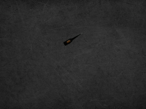 FOREST AX 3D Model