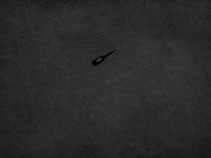 FOREST AX 3D Model