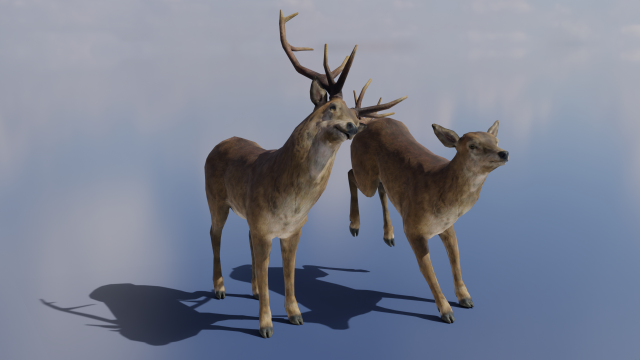 PUBG Mobile Deer Stag and Doe Animated and Rigged 3D Model .c4d .max .obj .3ds .fbx .stl .blend 