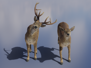 PUBG Mobile Deer Stag and Doe Animated and Rigged 3D Model