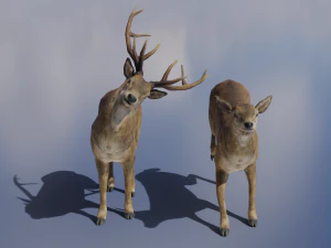 PUBG Mobile Deer Stag and Doe Animated and Rigged 3D Model