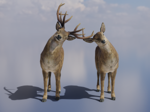 PUBG Mobile Deer Stag and Doe Animated and Rigged 3D Model