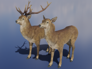 PUBG Mobile Deer Stag and Doe Animated and Rigged 3D Model