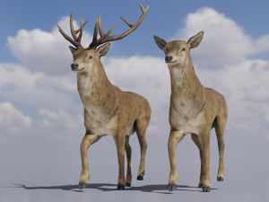 PUBG Mobile Deer Stag and Doe Animated and Rigged 3D Model