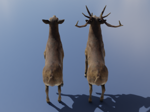 PUBG Mobile Deer Stag and Doe Animated and Rigged 3D Model