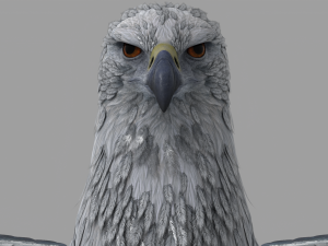 Hogwarts Legacy Hippogriff Rigged 3D Model