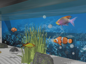 Clownfish tank 3D 模型