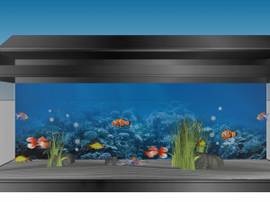 Clownfish tank Model 3D