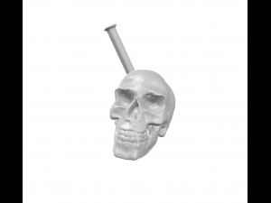 Skull Broken 3D Print Model