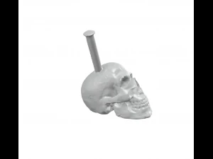 Skull Broken 3D Print Model