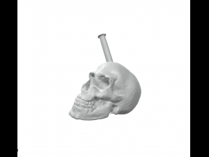 Skull Broken 3D-Druckmodell