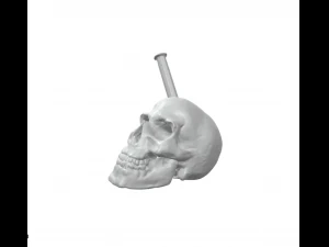 Skull Broken 3D Print Model