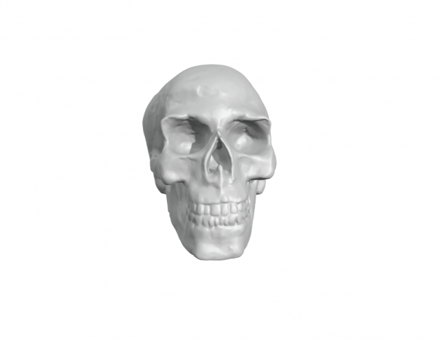 Skull Model do druku 3D .c4d .max .obj .3ds .fbx .stl .blend 
