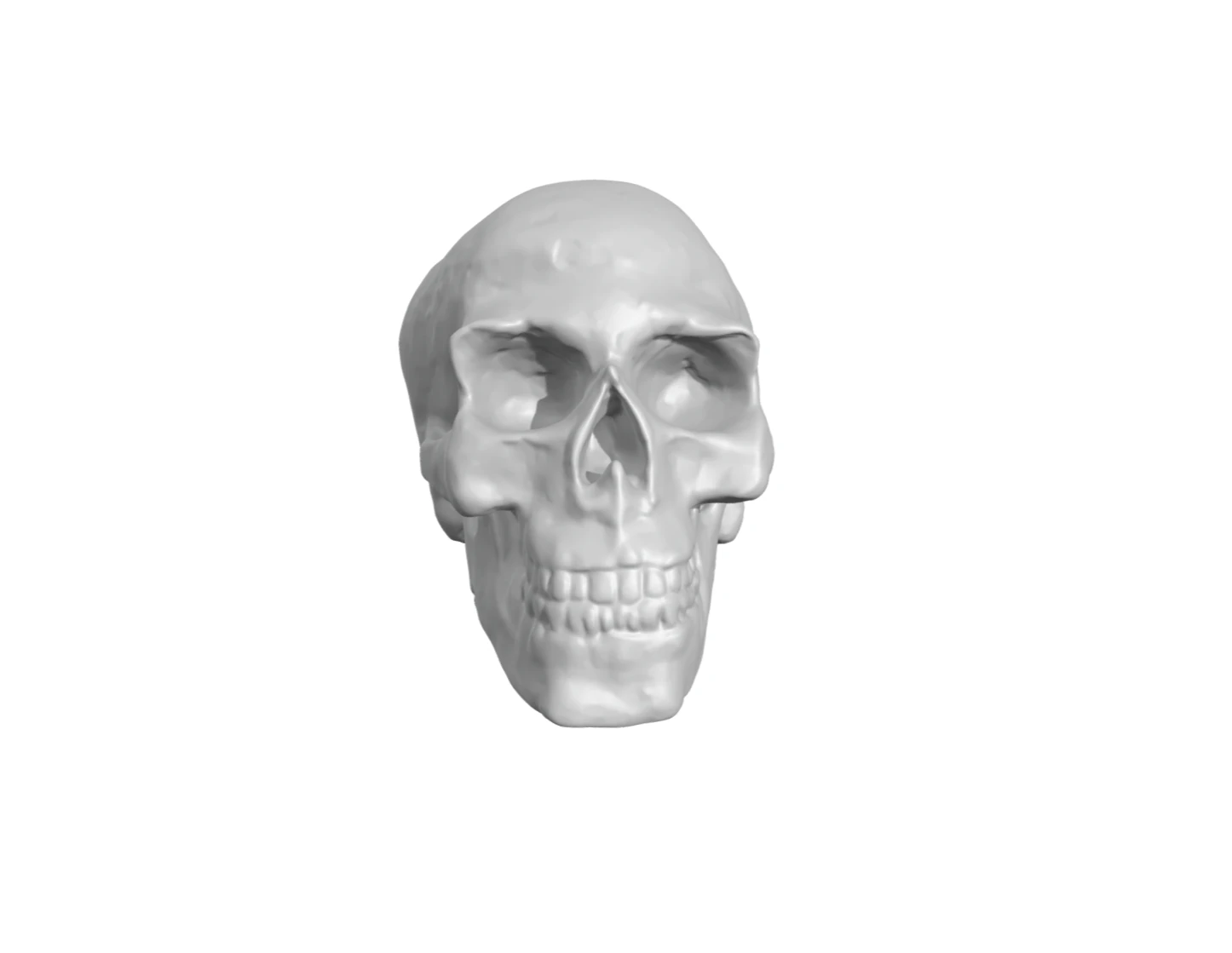 Skull 3D Print Model .c4d .max .obj .3ds .fbx .stl .blend 