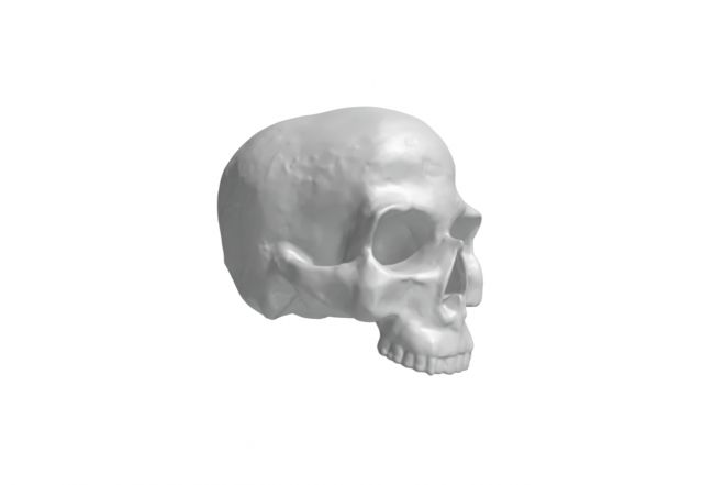 Skull Modèles 3D en vedette .c4d .max .obj .3ds .fbx .stl .blend 