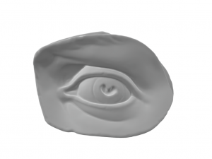 Michelangelos David Eye 3D Print Model