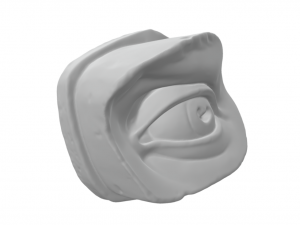 Michelangelos David Eye 3D 프린트 모델