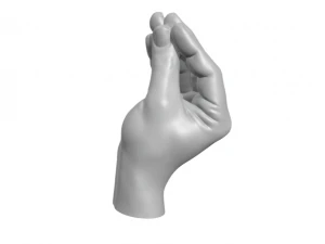 意大利手谁 3D 打印模型