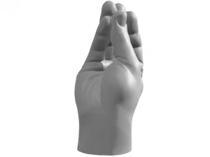 Italian Hand Who 3D Print Model