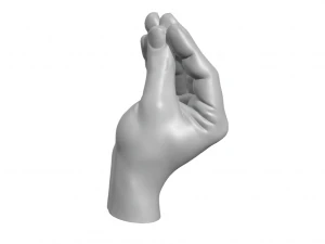 Italian Hand Who 3D Print Model