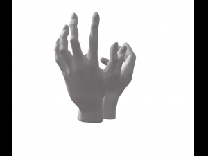 Lovers hands 3D प्रिंट मॉडल