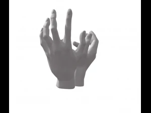 Lovers hands 3D Print Model