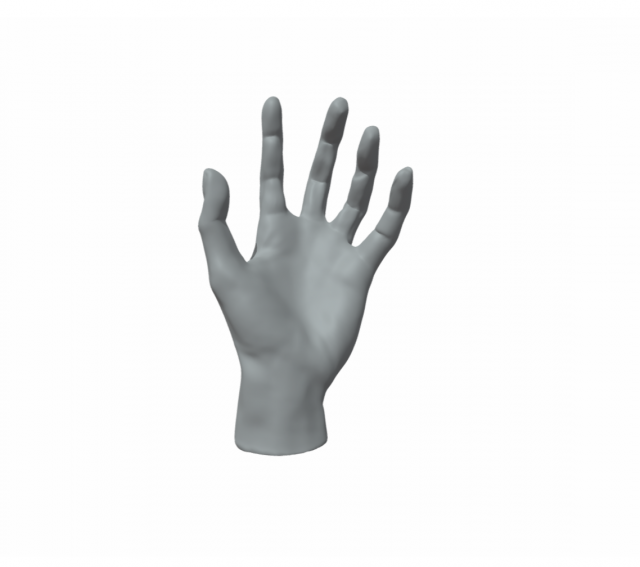 Hand Female 3D-printmodel .c4d .max .obj .3ds .fbx .stl .blend 