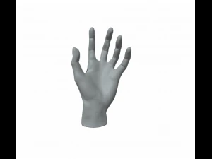 손 여성 3D 프린트 모델