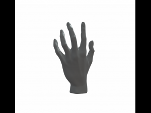 Hand Female 3D-printmodel