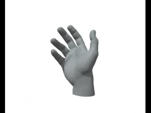 M&atilde;o Masculina Modelo de Impressão 3D