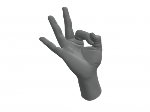 Hand Italian Okay OK 3D Print Model