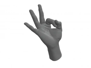 Hand Italian Okay OK 3D Print Model