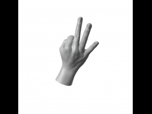 Hand Italian Okay OK 3D Print Model