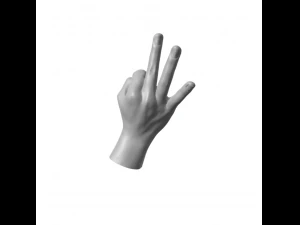 Hand Italian Okay OK 3D Print Model