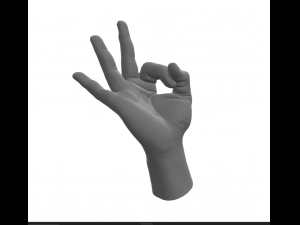 Hand Italian Okay OK 3D Print Model