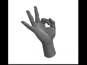 Hand Italian Okay OK 3D Print Model