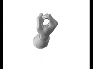 Hand olding 3D Print Model