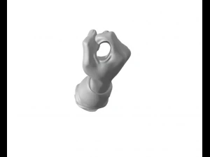 Hand olding 3D Print Model