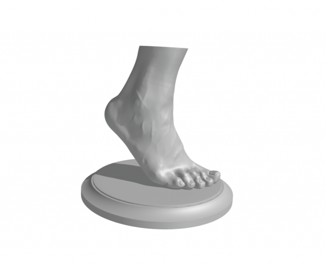 Feet - Foot - Paw 3D Print Model .c4d .max .obj .3ds .fbx .stl .blend 