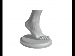 Feet - Foot - Paw 3D Print Model