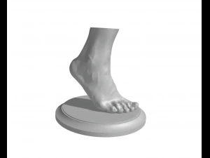 Stopy - Stopa - Łapa Model do druku 3D