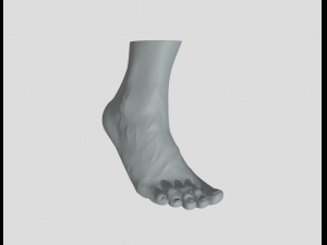 Feet - Foot - Paw 3D Print Model